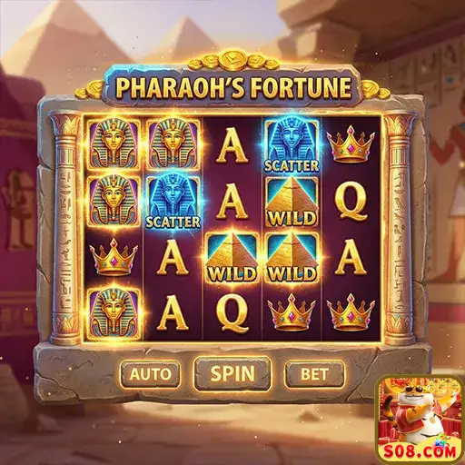 s08 desfrute de premium apostas ao vivo